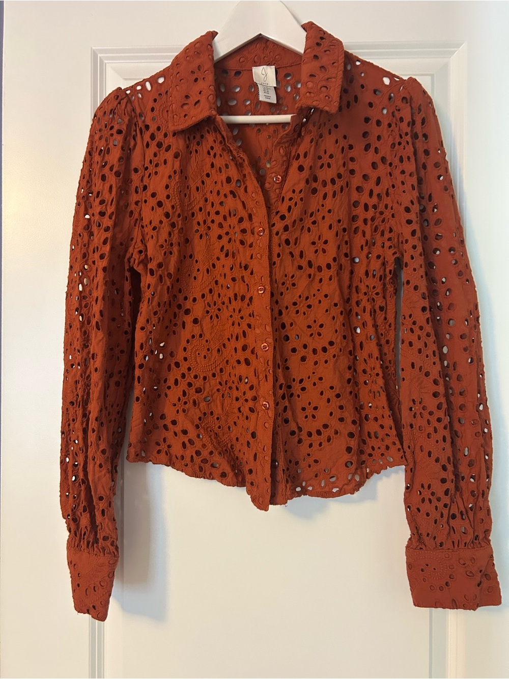 Joie Rust Eyelet Lace Long Sleeve Button Front Blouse | Medium